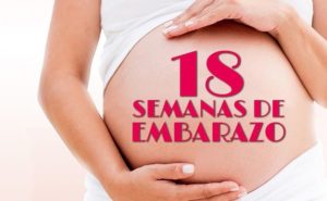 semana 18 embarazo