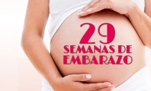 semana 29 embarazo cuantos meses