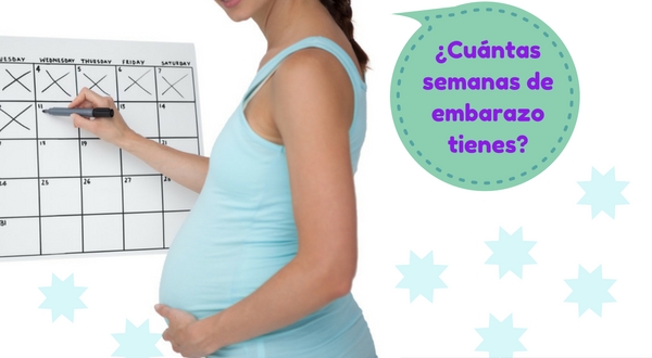 Calculadora De Embarazo ¡guÍa Ayuda 